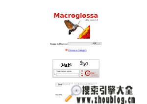 Macroglossa:视觉搜索平台