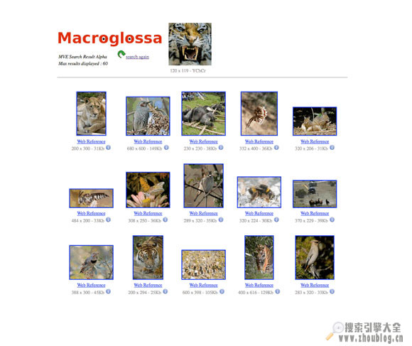 Macroglossa:视觉搜索平台