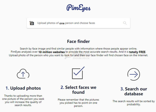 Pimeyes:基于面部识别搜索引擎缩略图