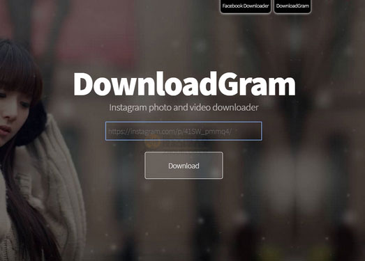 DownloadGram:在线INS资源下载工具缩略图