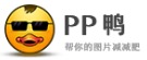 PPduck logo