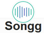 Songg|多平台音乐分享搜索引擎
