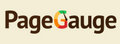 PageGauge:网站可用性快速评估工具logo