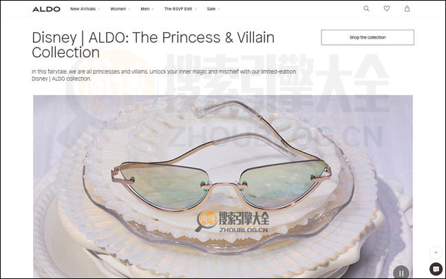 ALDO首页缩略图