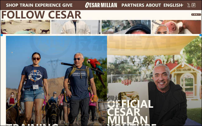 CesarMillan首页缩略图2