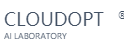 Cloudopt logo