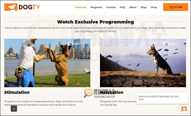 DogTV首页缩略图2