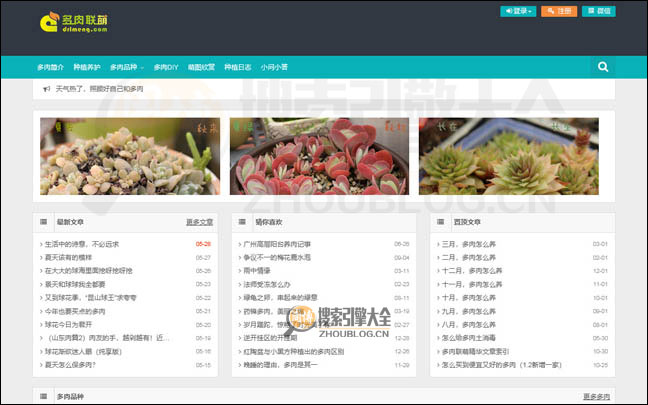 多肉联盟：多肉植物知识分享网【中国】