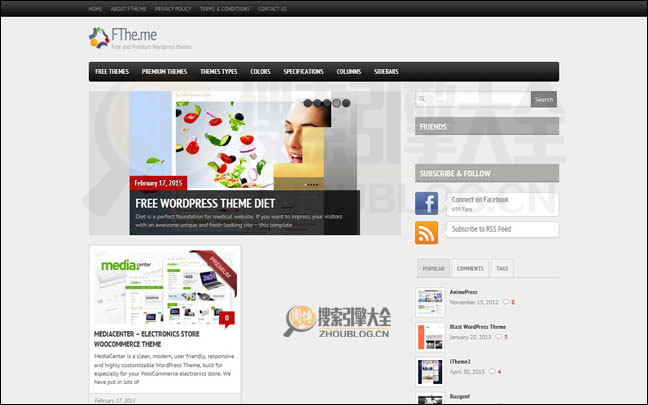 Fthe.me：免费WrodPress模版分享网【美国】
