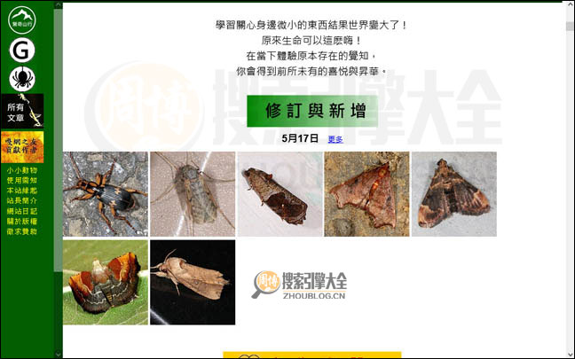 台湾嘎嘎昆虫网首页缩略图2