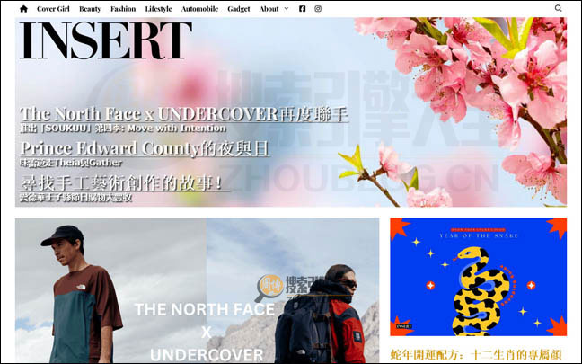 InsertMag首页缩略图