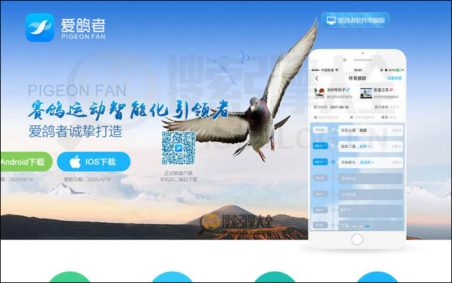 爱鸽者：智能赛鸽管理系统【中国】