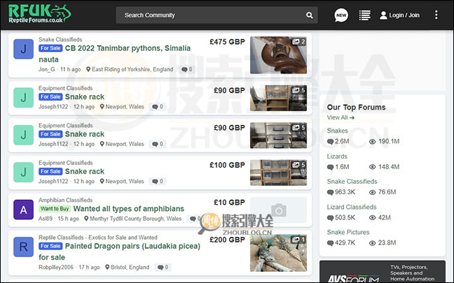 ReptileForums首页缩略图2