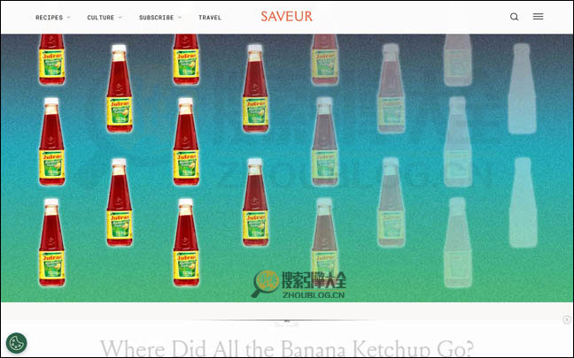 Saveur：世界美味杂志官网【美国】