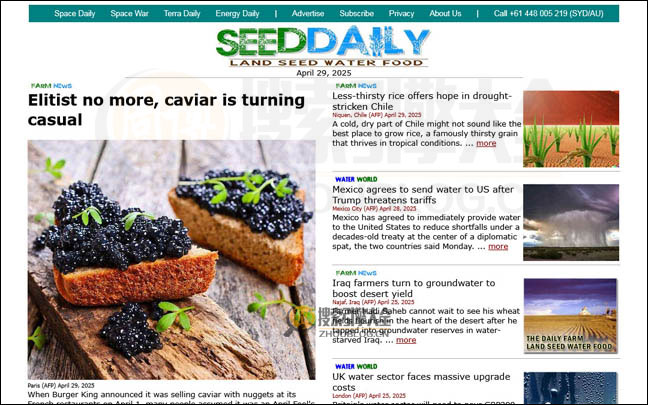 SeedDaily首页缩略图
