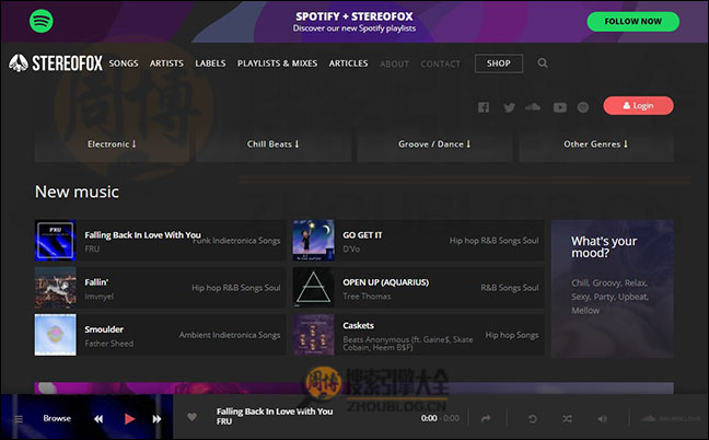 Stereofox：音乐探索社交平台【美国】