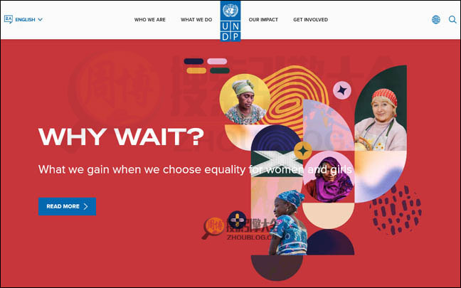UNDP：联合国开发计划署官网【美国】