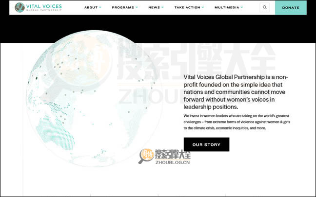 VitalVoices首页缩略图2