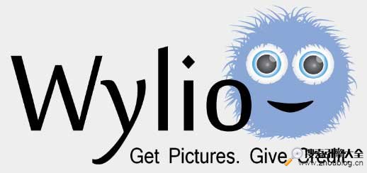 Wylio logo