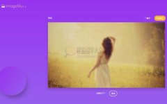 ImageBlur：在线图片马赛克处理工具[已无法